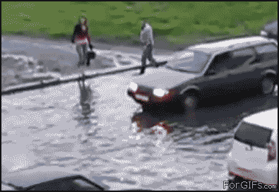 g1f6e.gif