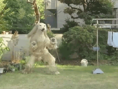 tumblr_mhesv4XywX1s1o3u5o1_400.gif