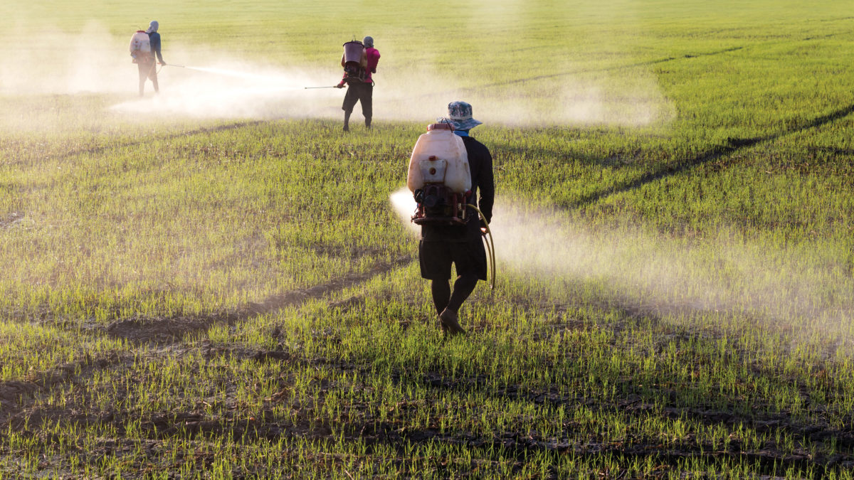 IM0317_Transformer_Pesticides_01-1200x675.jpg