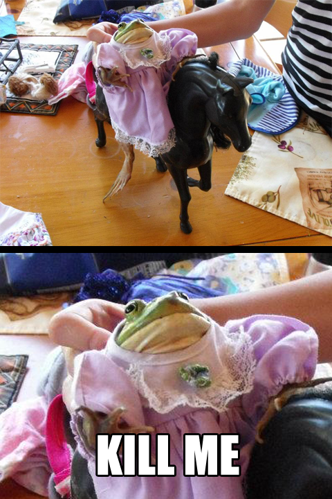 tumblr_m88wqs2kH31qjh0zdo1_500.png