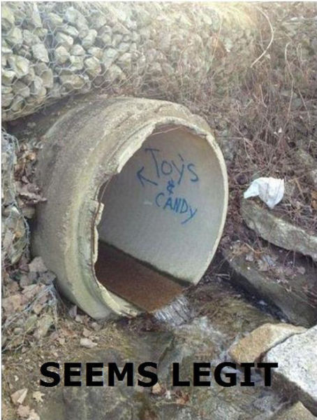 tumblr_mcrq88aSxD1r0wqrdo1_500.jpg