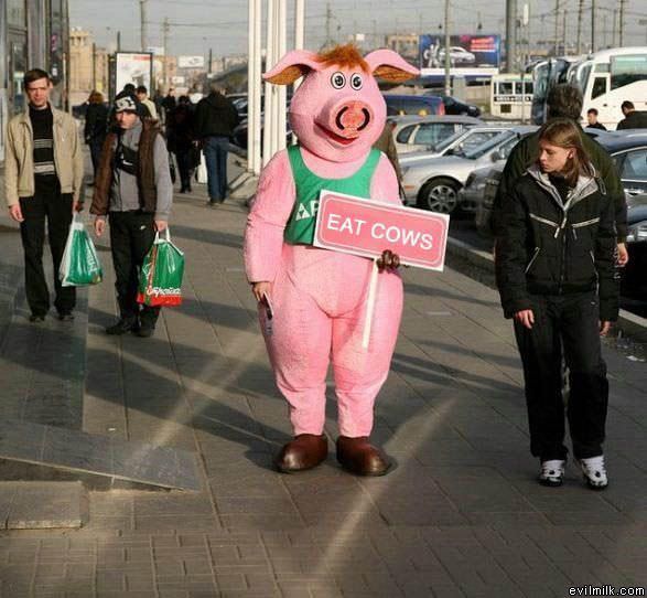 Eat_Cows.jpg