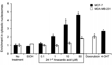 anacardicacidestradiol2.gif