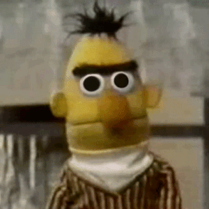 Bert_2.gif