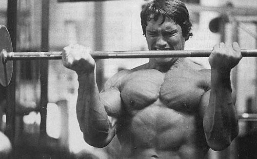 Arnold Curls