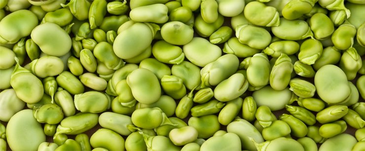 lima-beans-sized.jpg