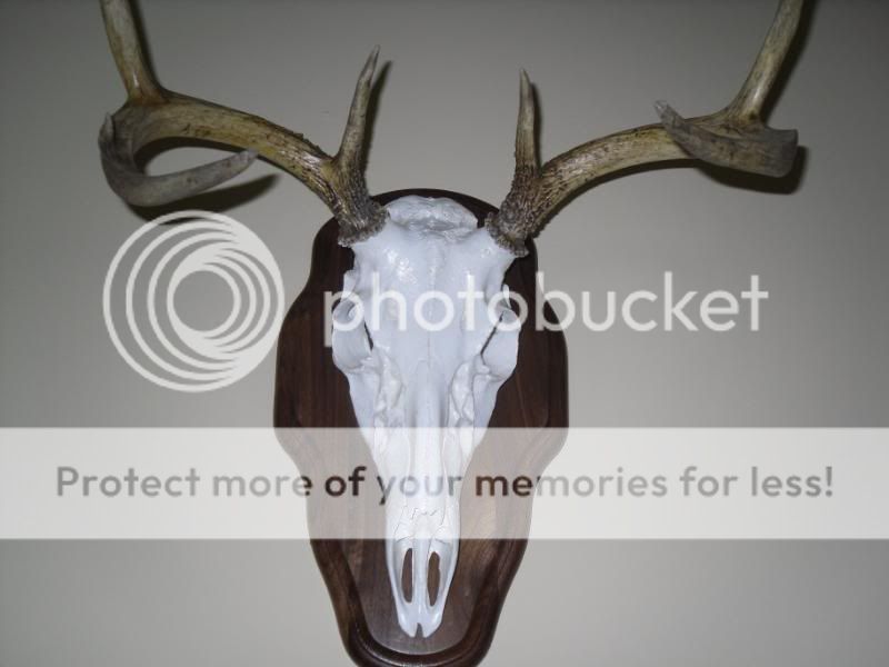 remount089.jpg