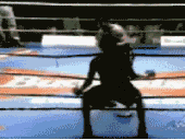 boxer.gif