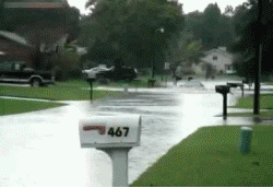 gifko_04.gif