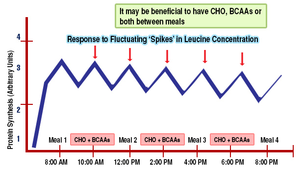 Amino Acid Chart