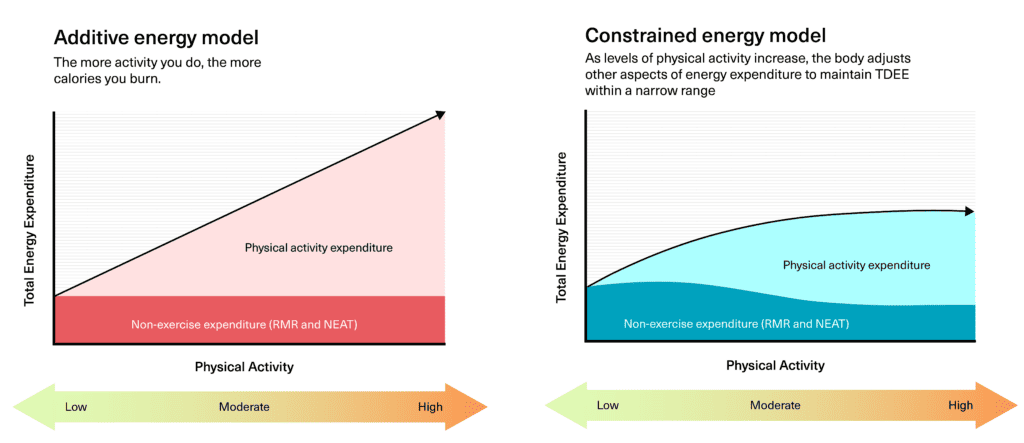 additive-constrained-1024x443.png