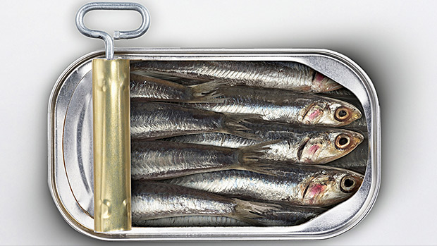 Cans-of-Sardines