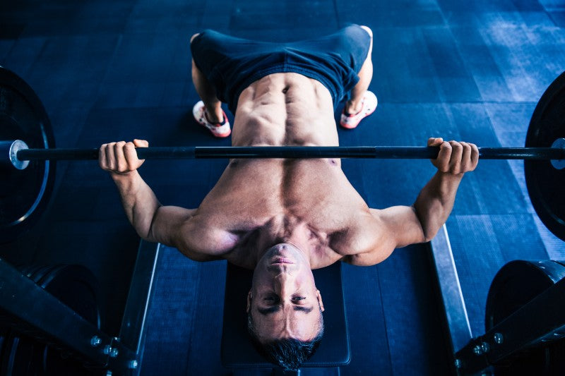 Bench Press