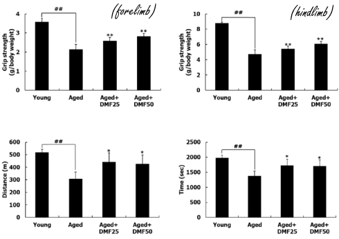 dimethoxyflavone-strength-muscle-mass-endurance.gif