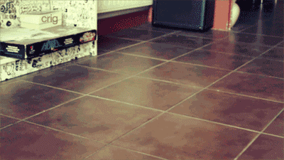 tumblr_mn2jo5v2MY1r8ga3ro1_400.gif