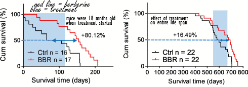 berberine-longevity.gif