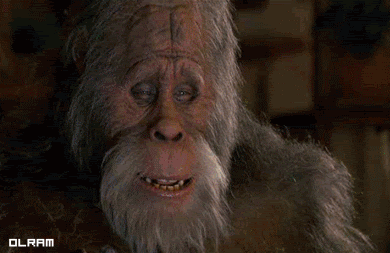 6decf55618c98438d56406bfc85b44b2.gif
