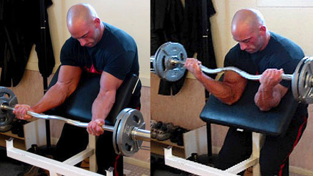 Preacher Curl
