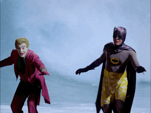 giphy.gif
