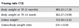 ginkgoanabolic3.gif