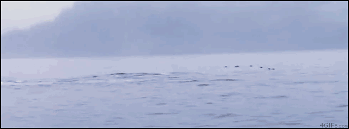 UYJbB.gif
