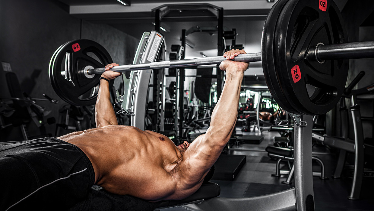 Bench Press Study