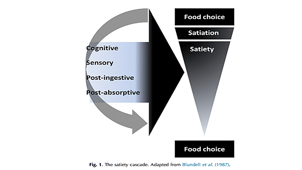Satiation Chart