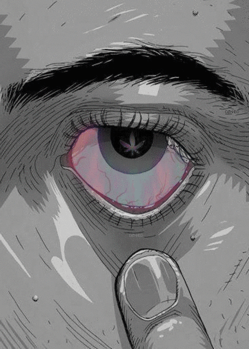 tumblr_m5hgrtu0NR1qap9uuo1_r1_500.gif
