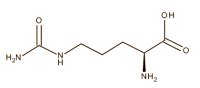 citrullinestructure.gif