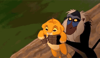 wPxM9cc.gif