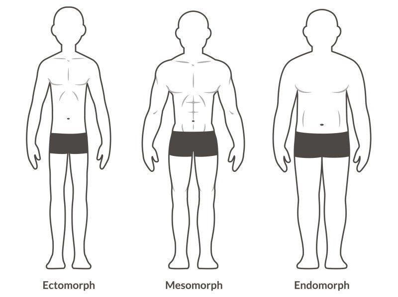 Ectomorph