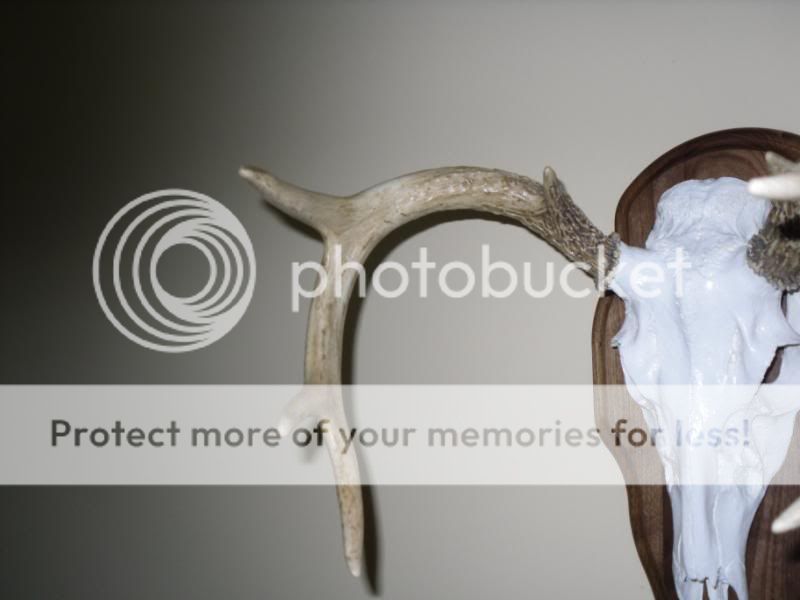 remount085.jpg