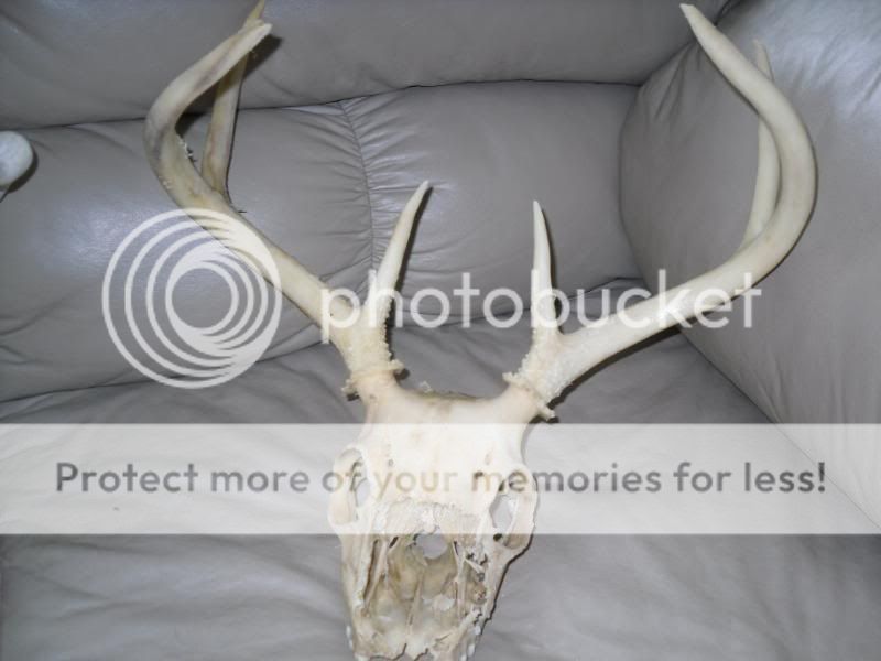 remount078.jpg