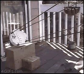 fnVKr.gif