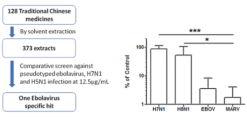 rhodiola-ebola-0.gif