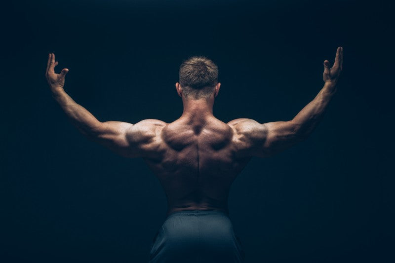 Big Back