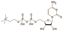 citicoline.gif