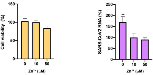 low-zinc-covid-19-7.gif