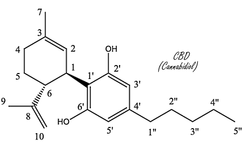 CBD oil accelerates muscle recovery after strenuous exercise