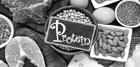 animal-plant-protein-metastudy.jpg