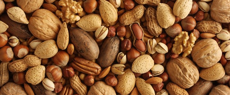 nuts-Copy.jpg