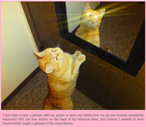 yFA9O.png