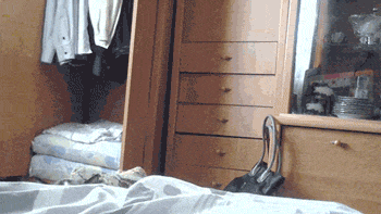 Rising-cat.gif