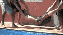 tumblr_lkn5efKx0b1qbtj1l.gif