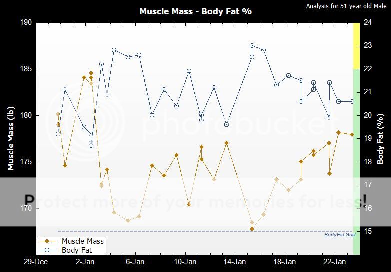 musclemassbodyfat12312.jpg