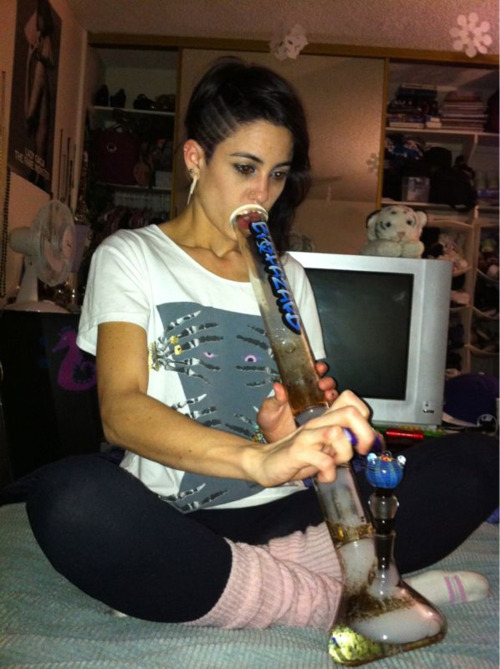 tumblr_lo0q1geGvP1qm1sgao1_500.jpg