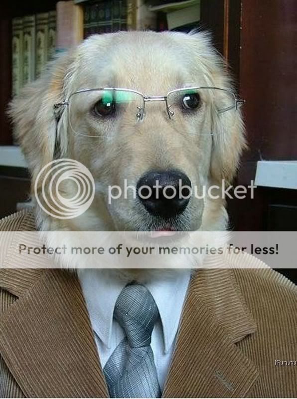 professorDOG.jpg