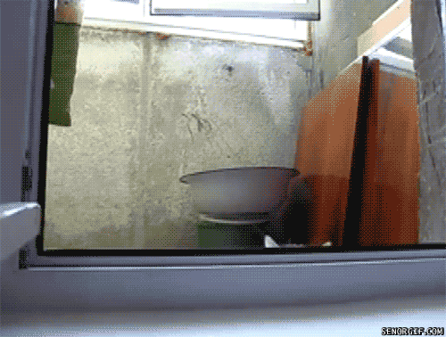 JnADo9w.gif