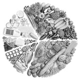 dietary-diversification.jpg