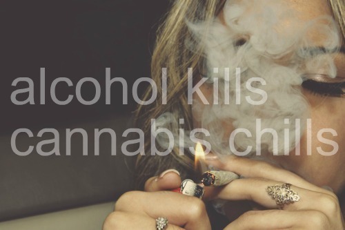 tumblr_m0rifjcAK91rqrc2ao1_500.jpg